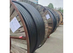 辽宁黑龙江电线电缆厂